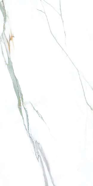 PACIFIC AQUA - Image 2