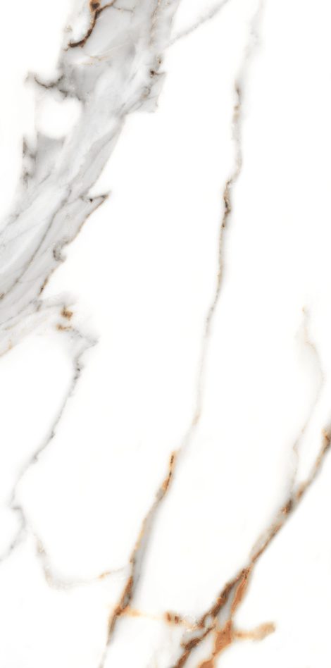 ELEGANT SATUARIO - Image 2